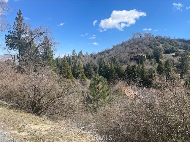 Detail Gallery Image 2 of 14 For 0 Pine Dr, Cedar Glen,  CA 92321 - – Beds | – Baths