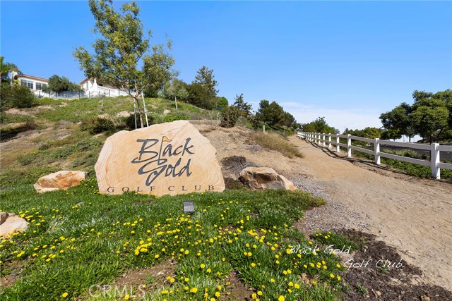 Detail Gallery Image 40 of 45 For 19225 Palm Vista, Yorba Linda,  CA 92886 - 5 Beds | 4/1 Baths