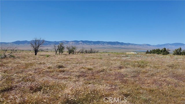 Detail Gallery Image 13 of 24 For 0 263rd St West North of Ave C13, –,  CA 93536 - – Beds | – Baths