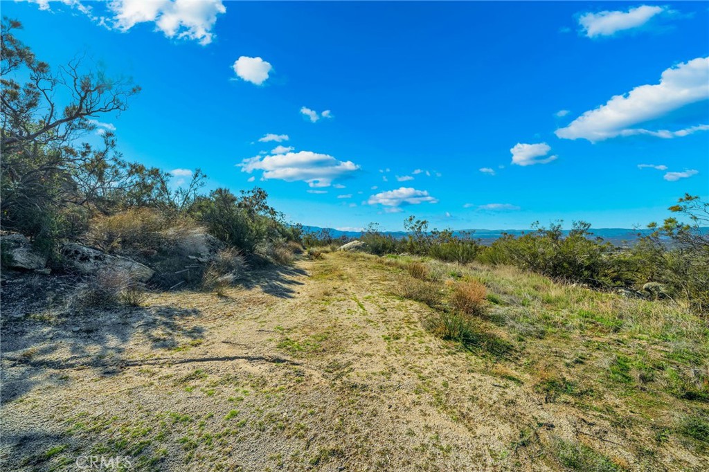 MLS #SW25270253 image #16