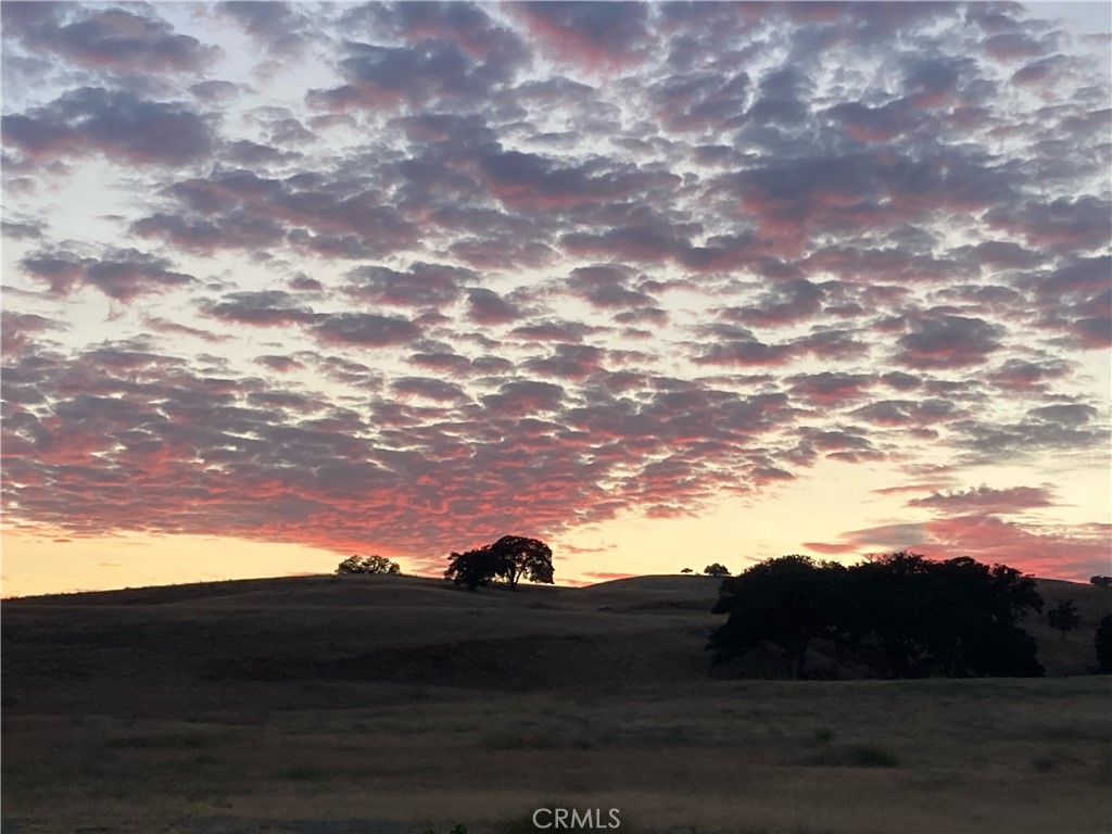 MLS #NS25280666 image #6