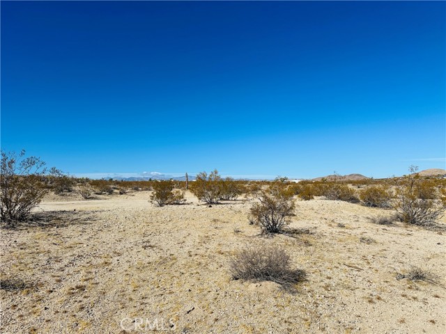 Detail Gallery Image 8 of 9 For 23 Avenida Del Sol, Joshua Tree,  CA 92252 - – Beds | – Baths