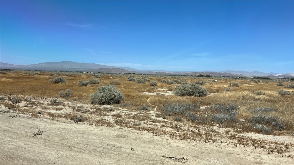MLS #SR24128263 image #5