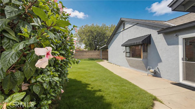 528 Essex photo 47