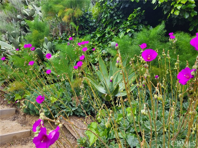 Detail Gallery Image 25 of 27 For 925 Poli St, Ventura,  CA 93001 - 2 Beds | 1 Baths