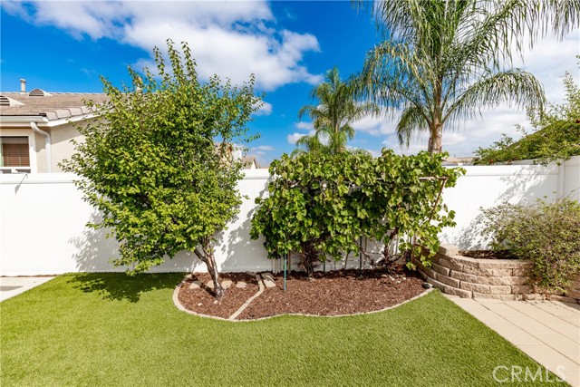 30294 Coralium Way, Menifee CA: https://media.crmls.org/medias/02babe51-233a-4136-838e-9205e2c7d2dc.jpg