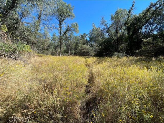 5325 Schafer, Mariposa, CA, 95338 5325 Schafer, Mariposa, CA, 95338