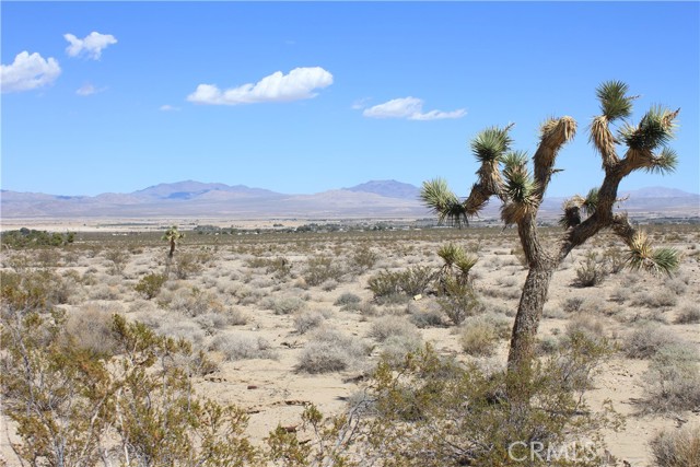 769 Meridian Road, Lucerne Valley CA: https://media.crmls.org/medias/02be3694-2e0d-483f-93aa-5f7f53a1428c.jpg