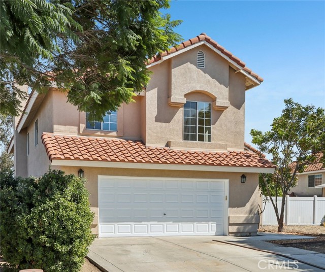 Front Image Thumbnail for CROC25214055