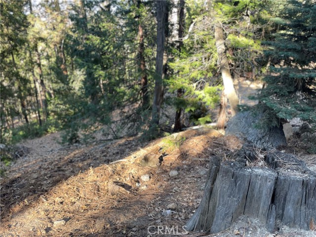 Detail Gallery Image 19 of 31 For 0 Fernland Dr, Idyllwild,  CA 92549 - – Beds | – Baths