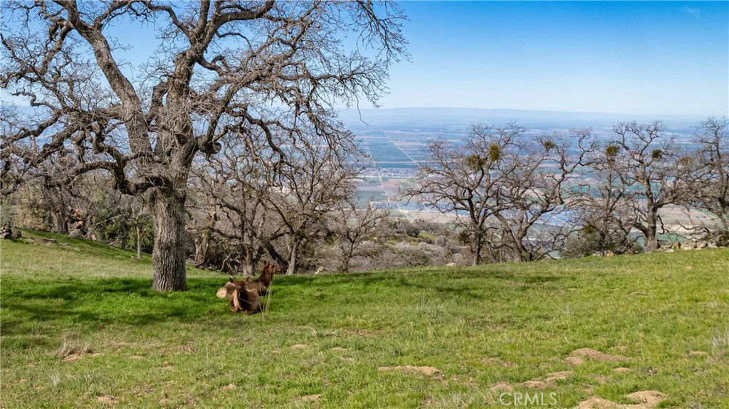 MLS #SR25148566 img 14