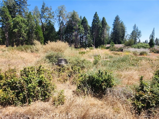 Front Image Thumbnail for CRSN26176030
