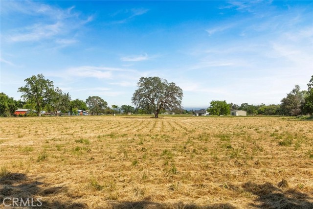 Image 12 of 18 For 0 Wilson Street