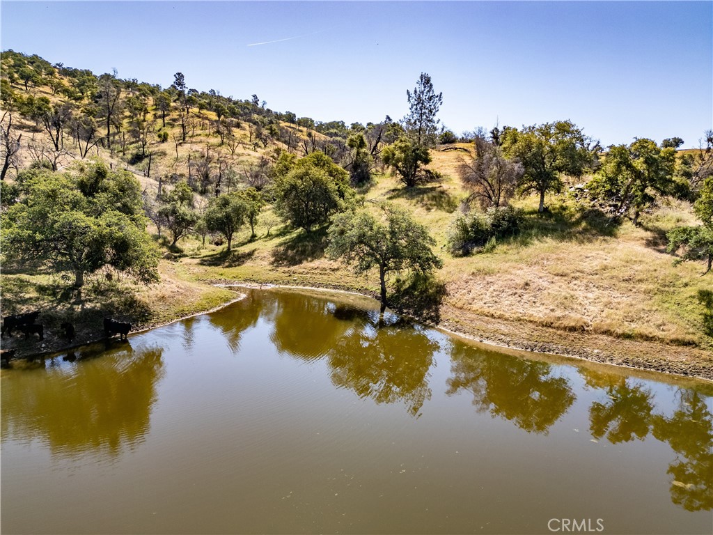 https://media.crmls.org/medias/02dcf303-11ba-4fc0-bb1f-547122b6c635.jpg?preset=X-Large