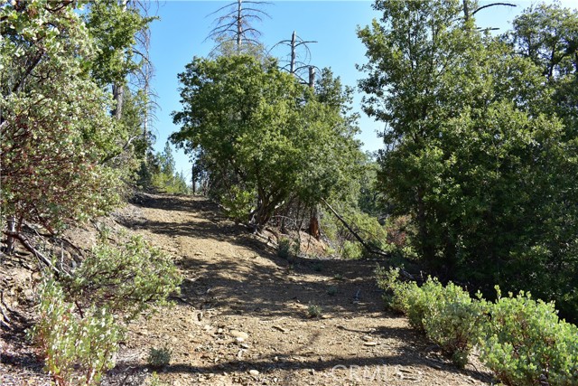 Detail Gallery Image 17 of 48 For 0 Incense Cedar Trl, Groveland,  CA 95321 - – Beds | – Baths