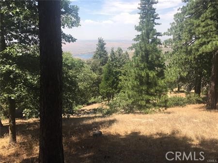 MLS #SW25033105 image #1