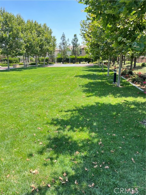 5384 Palestrina Way, Fontana CA: https://media.crmls.org/medias/02dfb9da-fe93-44dd-96e2-b40cdbd3b3cb.jpg