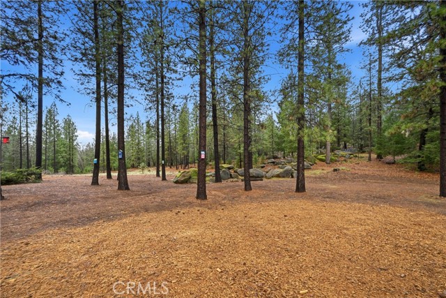 Detail Gallery Image 32 of 52 For 8863 Fox Dr, Cobb,  CA 95426 - 3 Beds | 2/1 Baths