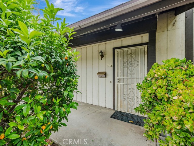 7800 Winnetka Avenue, Winnetka CA: https://media.crmls.org/medias/02e99db6-eb76-4477-9a70-2fd200c33b30.jpg