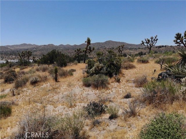 0 Yucca Trail, Yucca Valley, California 92284, ,Land,For Sale,0 Yucca Trail,CRJT23101215