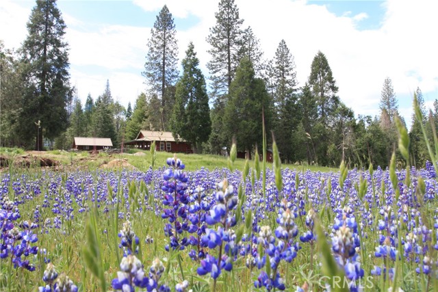 Detail Gallery Image 66 of 69 For 7072 Cranes Nest Rd, Mariposa,  CA 95338 - 1 Beds | 1 Baths