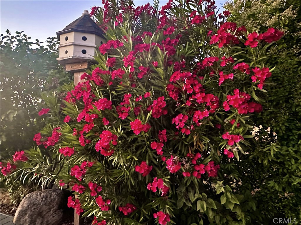 https://media.crmls.org/medias/02f699ba-244a-439f-bd41-9a67bec077b1.jpg?preset=X-Large