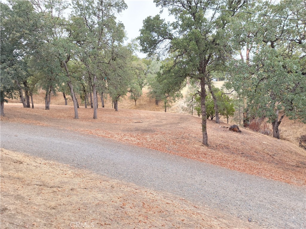 MLS #SN25232994 image #34