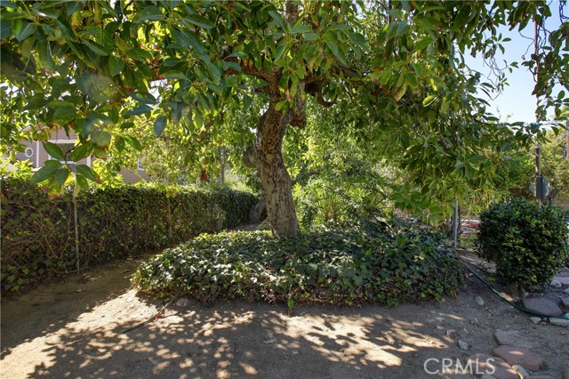 1914 Lyans Drive photo 33