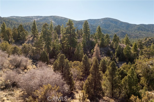 Detail Gallery Image 26 of 31 For 1110 Central, Big Bear City,  CA 92314 - – Beds | – Baths