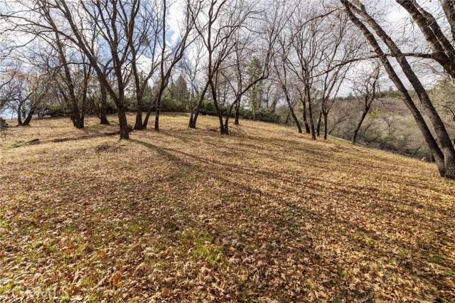 Detail Gallery Image 67 of 75 For 52815 Timberview Rd, North Fork,  CA 93643 - 3 Beds | 2 Baths