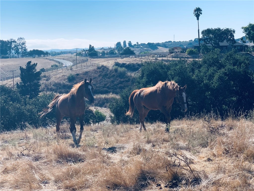 https://media.crmls.org/medias/02ff3531-3349-42ad-a37f-3701276c77b9.jpg?preset=X-Large