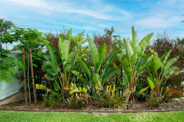 Detail Gallery Image 35 of 45 For 1906 Junipero Ave, Signal Hill,  CA 90755 - 2 Beds | 1 Baths