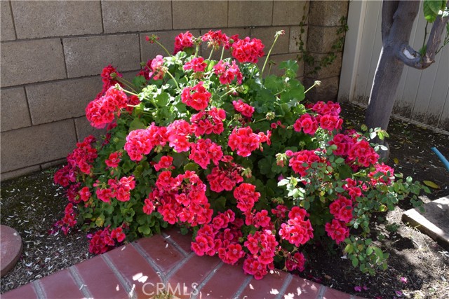 Detail Gallery Image 17 of 20 For 39723 Clements, Murrieta,  CA 92563 - 4 Beds | 2 Baths