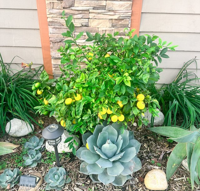 Detail Gallery Image 5 of 56 For 2425 Heather Ave, Long Beach,  CA 90815 - 3 Beds | 3 Baths