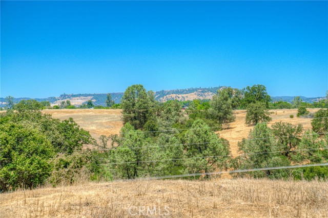 Detail Gallery Image 6 of 37 For 0 Olive Hwy, Oroville,  CA 95966 - – Beds | – Baths