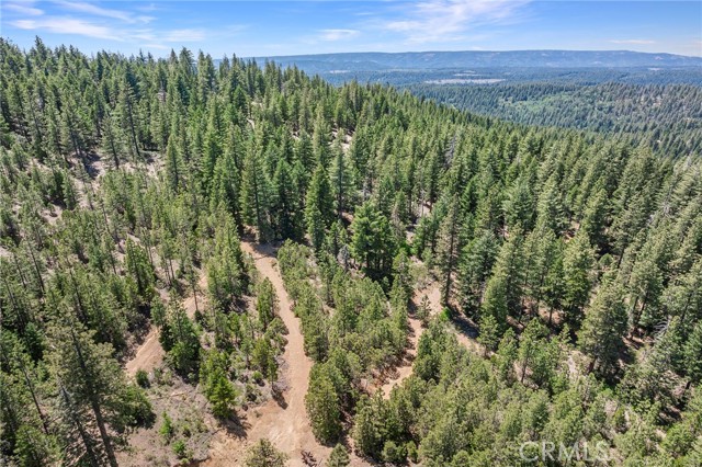 18727 Skyway, Stirling City CA: https://media.crmls.org/medias/030bb76c-3e46-4d41-95ac-d2aab6144f96.jpg