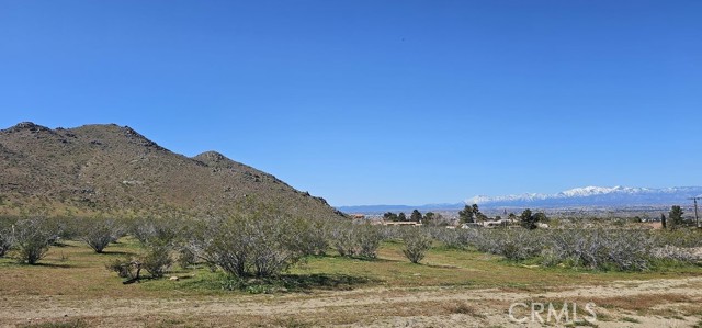 0 Roanoke Road, Apple Valley CA: https://media.crmls.org/medias/030bd001-eb18-4519-8afd-e0b8eddeb952.jpg