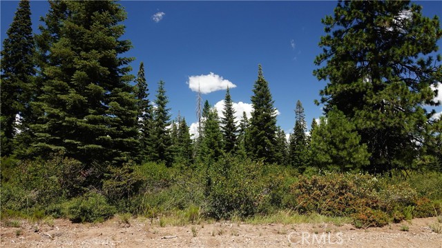 Detail Gallery Image 15 of 28 For 0 Echo Way, Mccloud,  CA 96057 - – Beds | – Baths