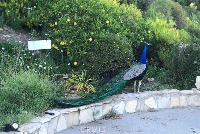 3121 Deluna, Rancho Palos Verdes, California 90275, 3 Bedrooms Bedrooms, 0 ,2 BathroomsBathrooms,Residential,For Sale,Deluna,0,SB26105482 3121 Deluna, Rancho Palos Verdes, California 90275, 3 Bedrooms Bedrooms, 0 ,2 BathroomsBathrooms,Residential,For Sale,Deluna,0,SB26105482