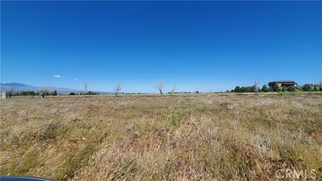 Detail Gallery Image 5 of 24 For 0 263rd St West North of Ave C13, –,  CA 93536 - – Beds | – Baths