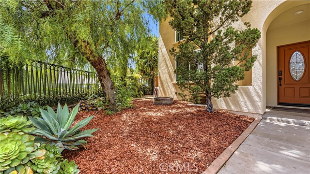 Front Image Thumbnail for CRSR26075291