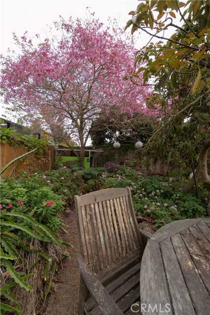 6316 E Mariquita, Long Beach CA: https://media.crmls.org/medias/0322626e-a76c-4ca3-adbb-51d65e17b19e.jpg