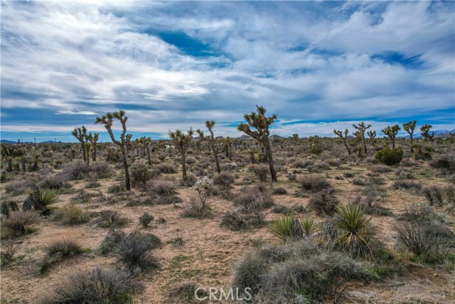 Detail Gallery Image 29 of 32 For 4824 Elata Ave, Yucca Valley,  CA 92284 - – Beds | – Baths