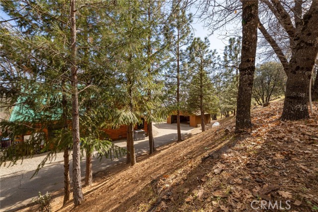 Detail Gallery Image 64 of 75 For 52815 Timberview Rd, North Fork,  CA 93643 - 3 Beds | 2 Baths
