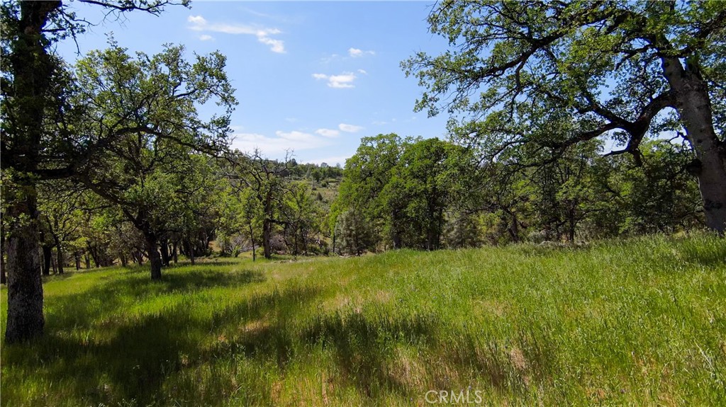 123 Rancheria Creek Road, Midpines, CA 95345