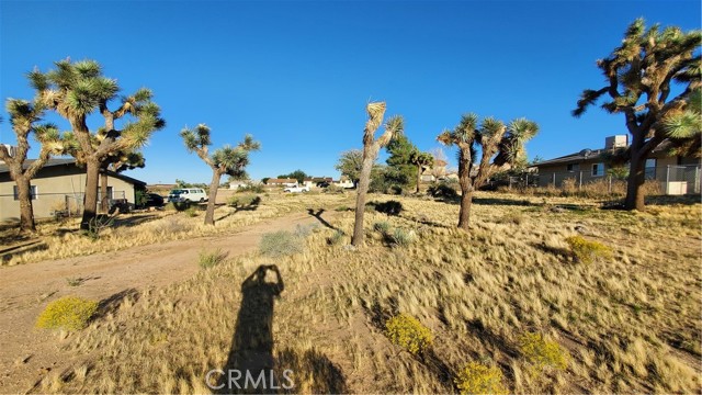 Detail Gallery Image 4 of 4 For 0 Palo Alto Ave, Yucca Valley,  CA 92284 - – Beds | – Baths