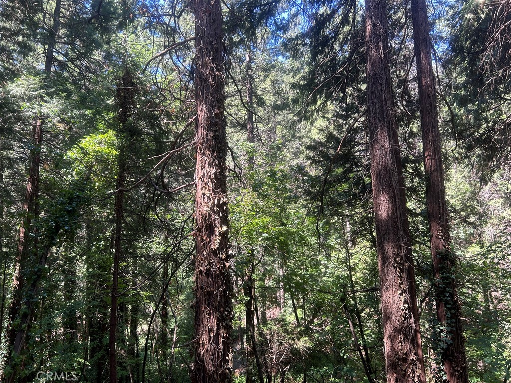 https://media.crmls.org/medias/03498657-3d6a-4716-bbe1-9ee5275675ea.jpg?preset=X-Large