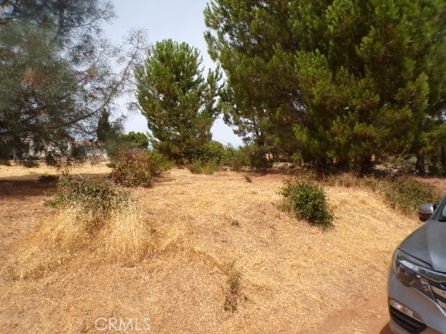 10268 Del Monte Way, Kelseyville CA: https://media.crmls.org/medias/034ab73e-5e32-4a4a-aaef-2a4db67dcfca.jpg