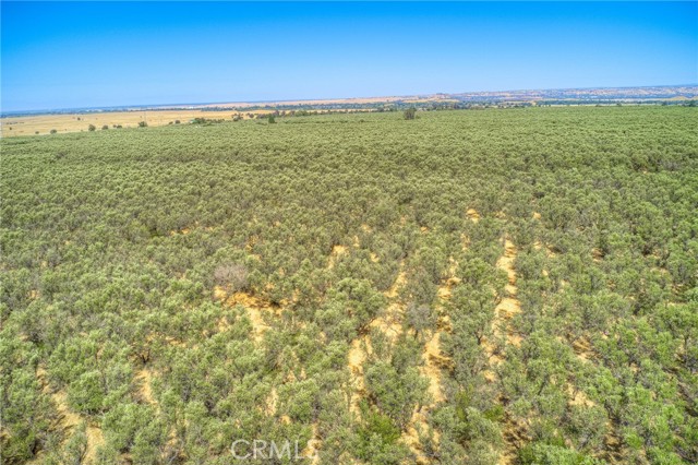 16 Rocky Drive, Oroville CA: https://media.crmls.org/medias/034d6dc6-4622-436e-80ee-5c9a02c4e10e.jpg