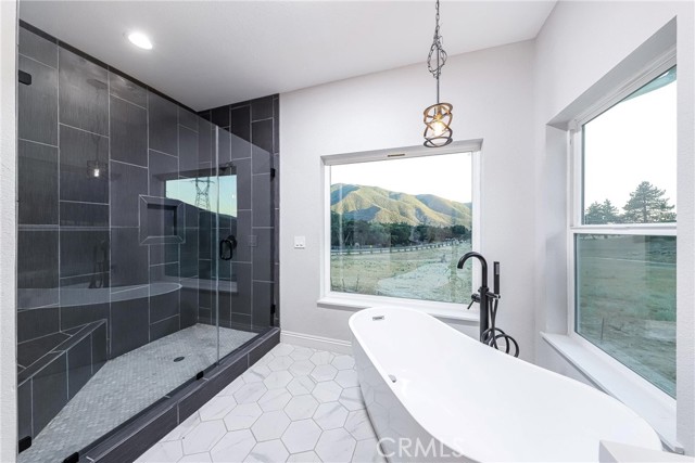 Detail Gallery Image 19 of 54 For 40017 San Francisquito Canyon Road, Green Valley,  CA 91390 - 4 Beds | 2/1 Baths